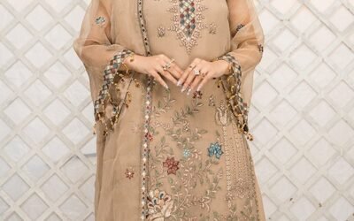 Your Guide to Stunning Pakistani Formal Wear Online Pakistani Formal Wear